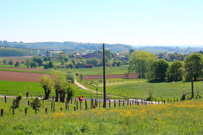 Vakantiehuis 14 personen Ardennen