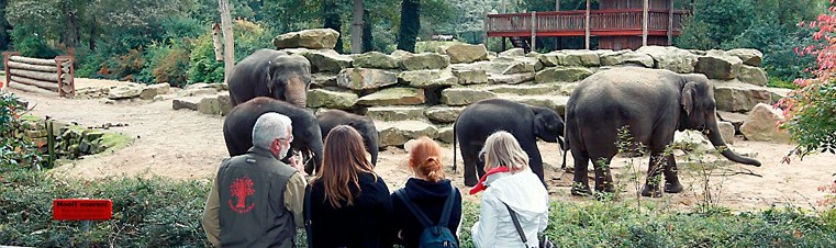 Met de hele familie naar de dierentuin