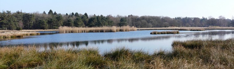 Nationaal Park Dwingelderveld Drenthe