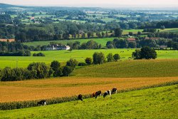 Vakantie Zuid-limburg