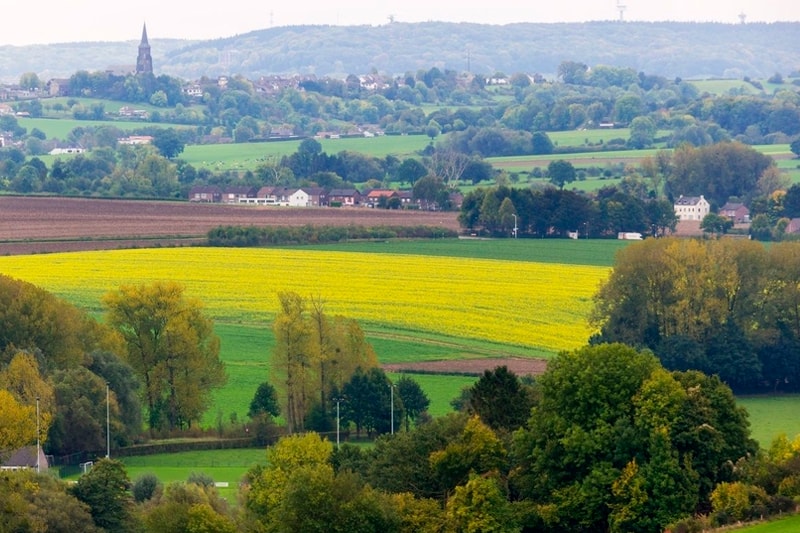 Vakantieboerderij-Limburg